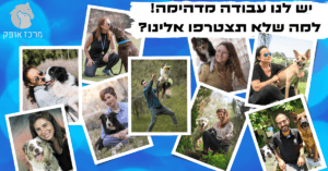 קורס כלבנות טיפולית קורס אילוף כלבים מרכז אופק
