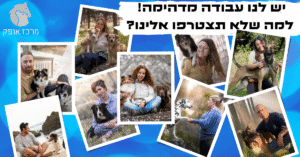 קורס כלבנות טיפולית לאנשי חינוך הוראה וטיפול