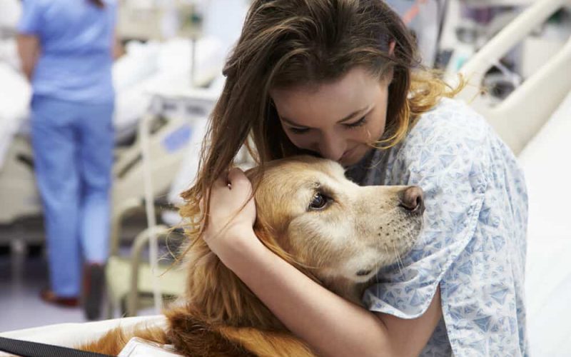 Therapy Dog Visiting Young Female Patient In Hospital