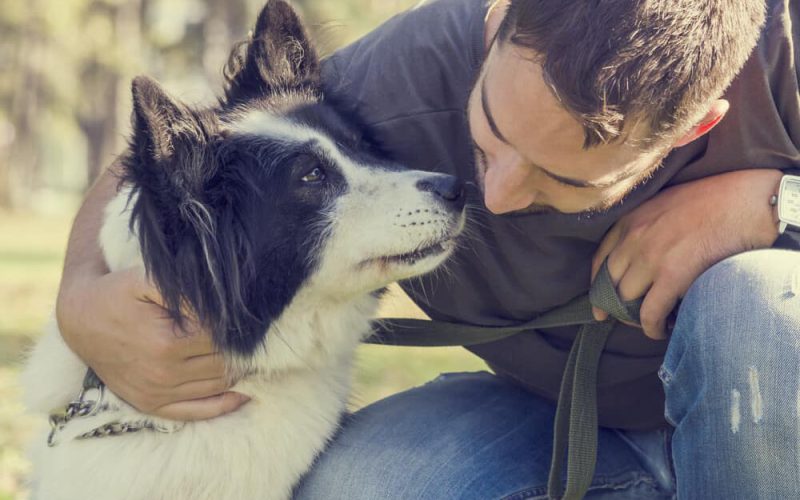 Man with his dog playing in the park