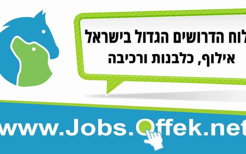 Offek_Jobs_1200X628_02