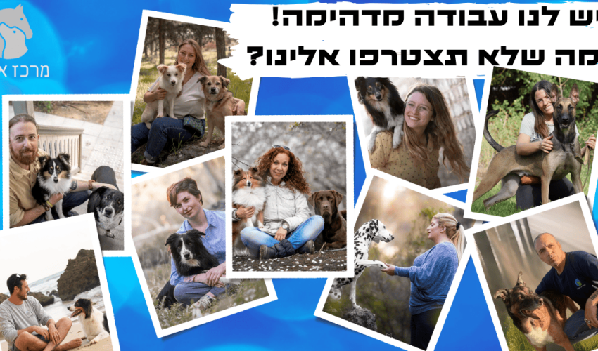 קורס כלבנות טיפולית לאנשי חינוך הוראה וטיפול